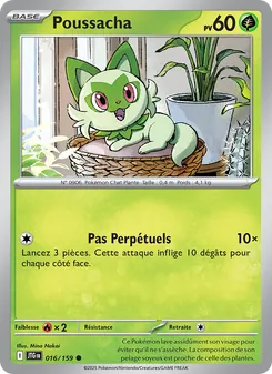 Poussacha 16