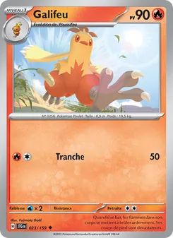 Galifeu 23