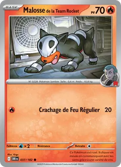 Malosse de la Team Rocket 37