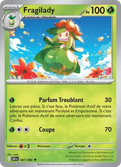 Fragilady 7