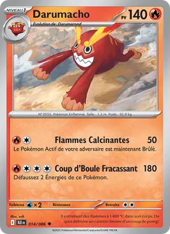 Darumacho 14