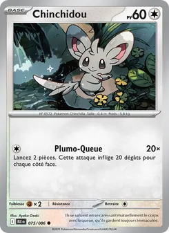 Chinchidou 75
