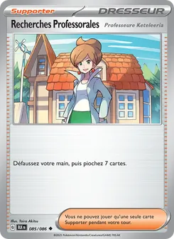Recherches Professorales 85