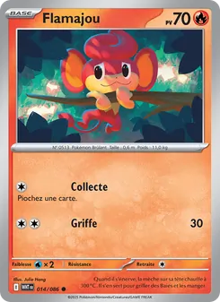 Flamajou 14
