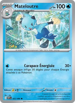 Mateloutre 22