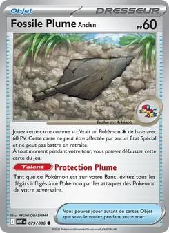 Fossile Plume Ancien 79