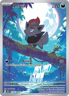 Zorua 142