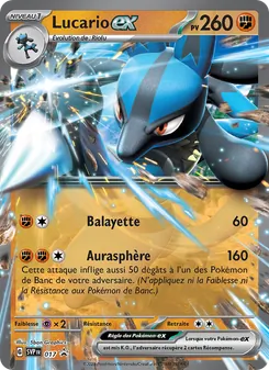 Lucario-ex 17