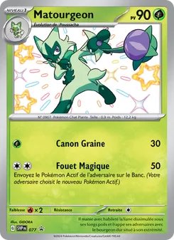 Matourgeon 77