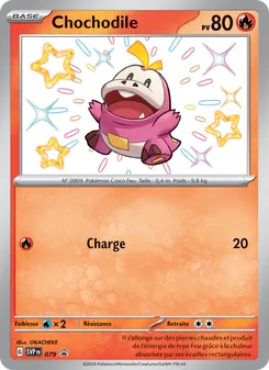 Chochodile 79