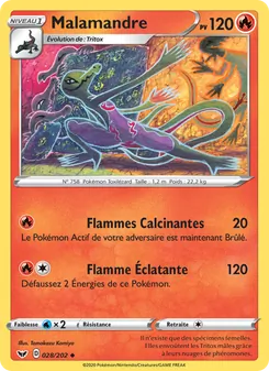 Malamandre 28