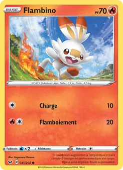 Flambino 31