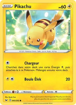 Pikachu 65