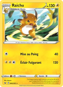 Raichu 66