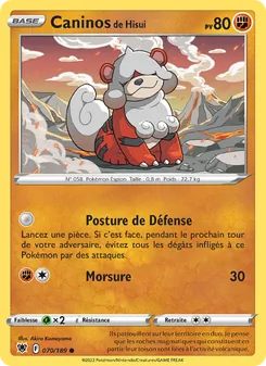 Caninos de Hisui 70