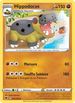 Hippodocus 80