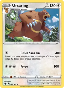 Ursaring 123