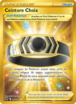 Ceinture Choix 211
