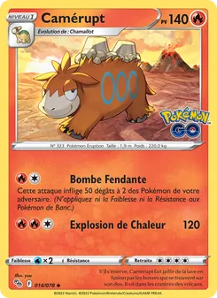 Camérupt 14