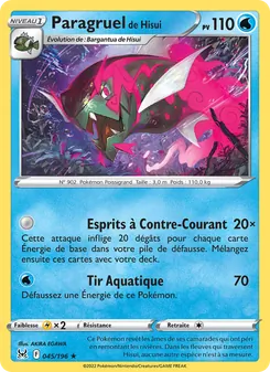 Paragruel de Hisui 45