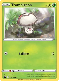 Trompignon 11