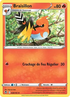 Braisillon 28