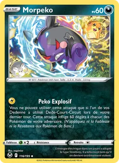 Morpeko 116
