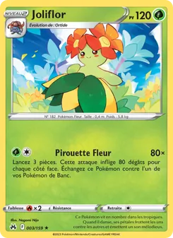 Joliflor 3