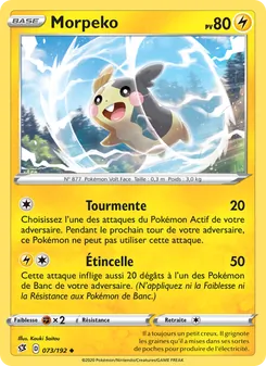 Morpeko 73