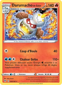 Darumacho de Galar 28