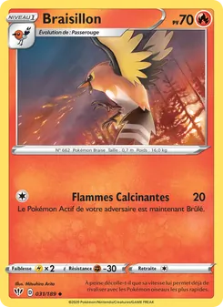Braisillon 31