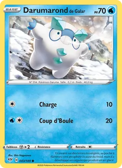 Darumarond de Galar 43