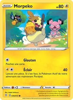 Morpeko 36