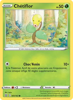 Chétiflor 1
