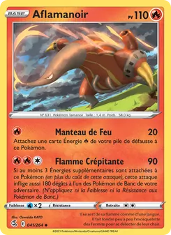Aflamanoir 41