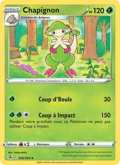 Chapignon 5