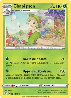 Chapignon 4