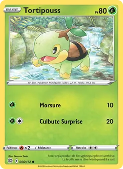 Tortipouss 6