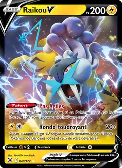 Raikou V 48