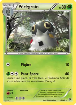 Pérégrain 16