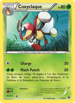 Coxyclaque 7