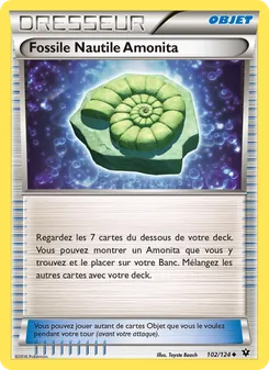 Fossile Nautile Amonita 102