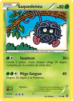 Saquedeneu 1