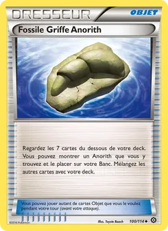 Fossile Griffe Anorith 100