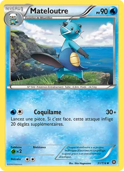 Mateloutre 31