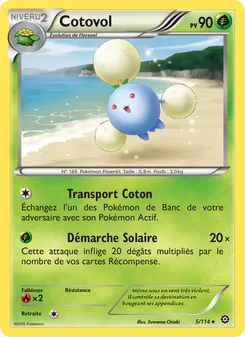 Cotovol 5