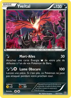 Yveltal 65
