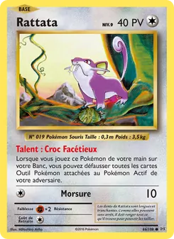 Rattata 66