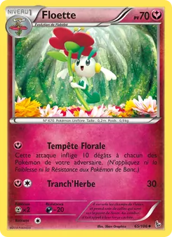 Floette 65