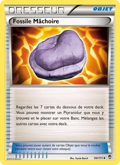 Fossile Mâchoire 94